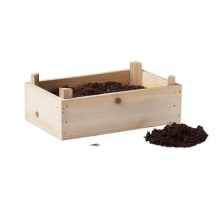 KIT CAPSUNI IN CUTIE LEMN, PERSONALIZABIL
