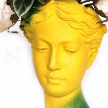 LIME VENUS, VAZA SI DECORATIUNE INTERIOARĂ
