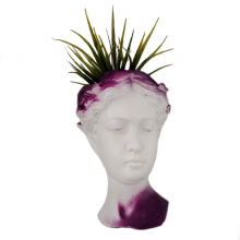 PURPLE FLAME, VAZA SI DECORATIUNE INTERIOARĂ
