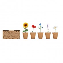 KIT DE PLANTARE CU 5 FLORI