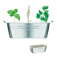 GHIVECI DIN ZINC CU PLANTE AROMATICE