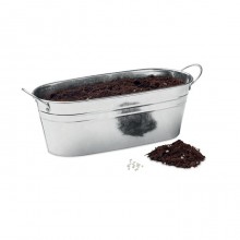 GHIVECI DIN ZINC CU PLANTE AROMATICE