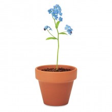 VAS TERACOTA CU FLOARE NU-MA-UITA, PERSONALIZABIL