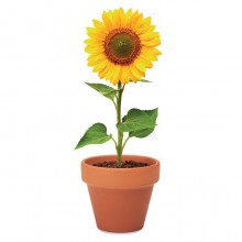 VAS TERACOTA CU FLOAREA-SOARELUI, PERSONALIZABIL