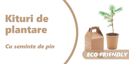 Kit-uri plantare